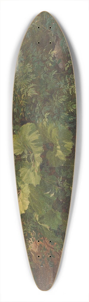 Gustav Friedrich Papperitz - Pflanzenstudie 39.3 inch art pintail longboard deck