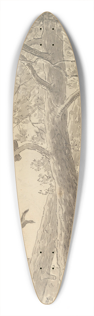 Hans Gude - Da vi hadde nrmet oss treet hvor den satt, hrte vi en fugl komme flyvende 39.3 inch art pintail longboard deck