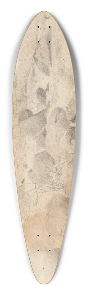 Hans Gude - Elvestryk ved l i Hallingdal 39.3 inch art pintail longboard deck