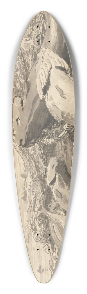 Hans Gude - Illustration for The Cormorants of Utrst 39.3 inch art pintail longboard deck