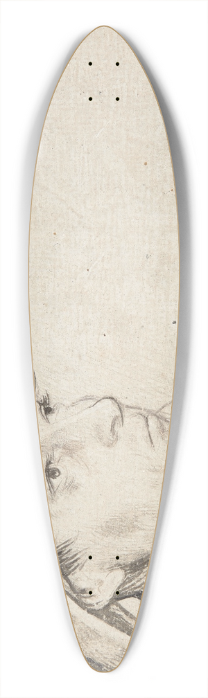Hans Holbein The Elder - Junger Mann mit breitrandigem Hut und Halskette 39.3 inch art pintail longboard deck
