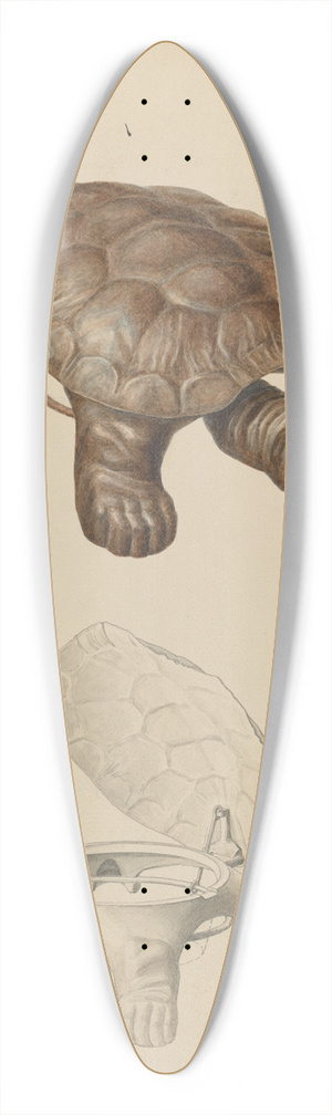 Hans Mangelsdorf - Cuspidor 39.3 inch art pintail longboard deck