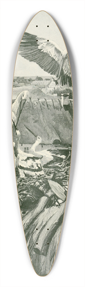Hans Tegner - Fairy tales and stories pl19 39.3 inch art pintail longboard deck