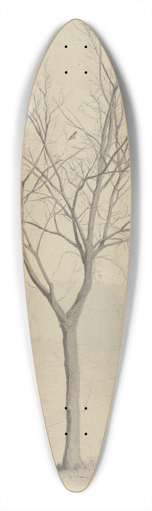 Hans Thoma - Leafless tree with birds 39.3 inch art pintail longboard deck