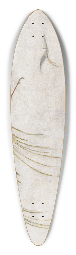 Hans Thoma - Wundervgel 39.3 inch art pintail longboard deck