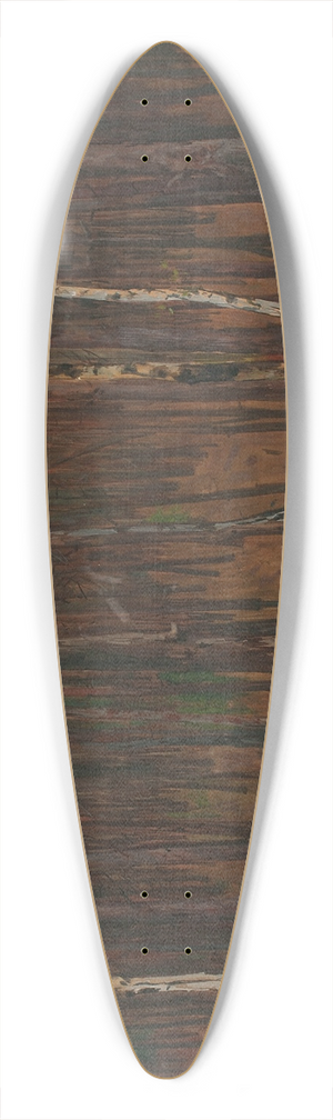 Hans Tichy - Waldinneres 39.3 inch art pintail longboard deck
