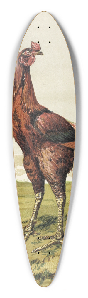 Harrison Weir - Malay Cock 39.3 inch art pintail longboard deck