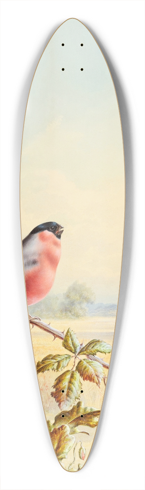 Harry Bright - Summer  A Pair of Bullfinch 39.3 inch art pintail longboard deck