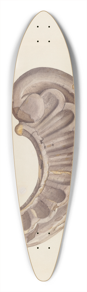 Harry King - Wood Carving  Scroll 39.3 inch art pintail longboard deck