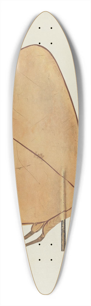 Hazel Hyde - Butterfly Weather Vane 39.3 inch art pintail longboard deck