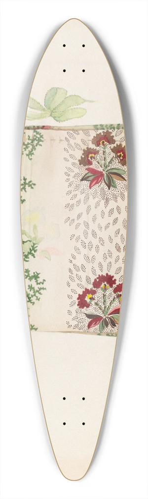 Hazel Sheckler - Cotton Bag 39.3 inch art pintail longboard deck