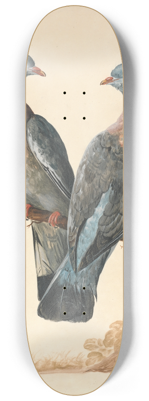 Charles Collins - Two Wood Pigeons 8.25 inch art skate deck