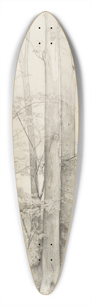 Heinrich Dreber - A Stand of Trees 39.3 inch art pintail longboard deck