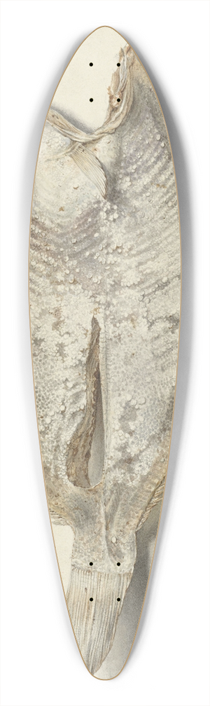 Hendrik Gerrit ten Cate - Scharretje 39.3 inch art pintail longboard deck
