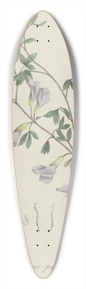 Hendrik Schwegman - Purperen brem 39.3 inch art pintail longboard deck