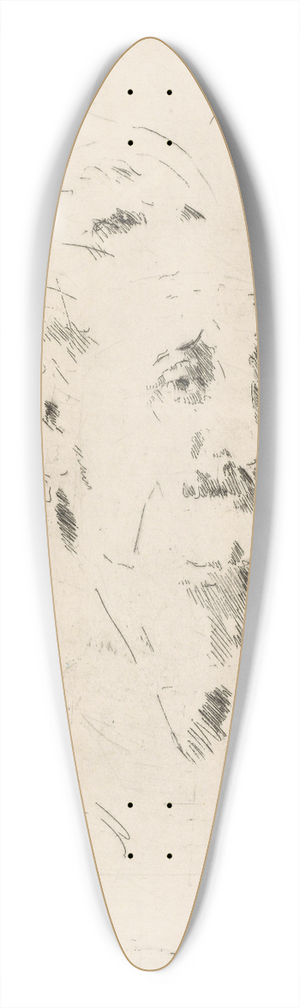 Henrik Lund - Albert Einstein 39.3 inch art pintail longboard deck