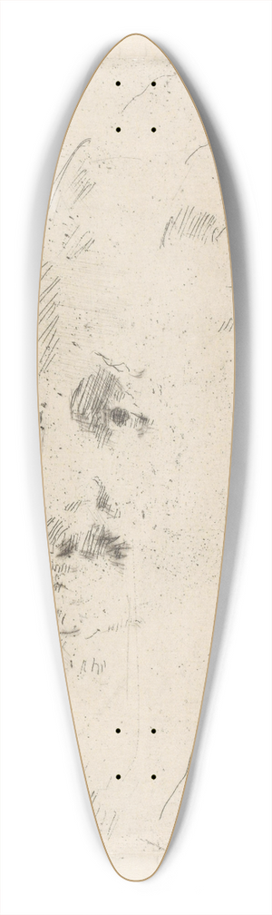 Henrik Lund - Albert Einstein 39.3 inch art pintail longboard deck