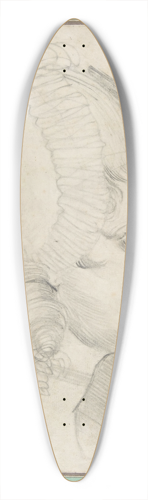 Henry Fuseli - Portrait of a Young Lady Drawn in Left Profile 39.3 inch art pintail longboard deck