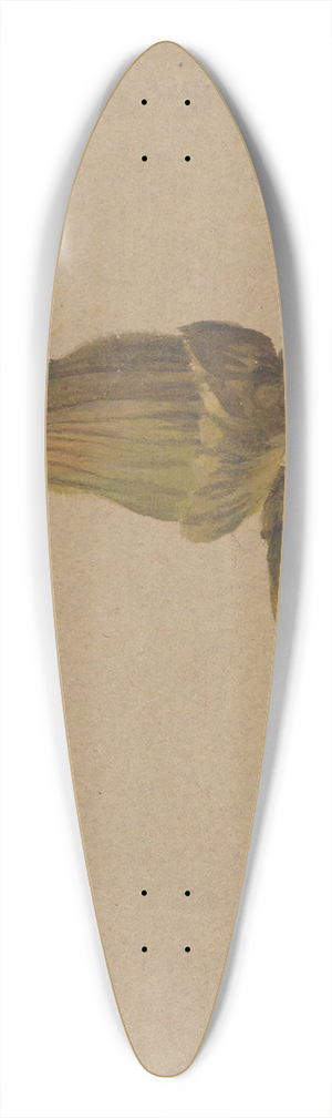 Henryka Beyer - Study of hazelnuts 39.3 inch art pintail longboard deck