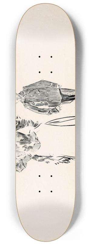 Charles Dana Gibson - Her protector 8.25 inch art skate deck