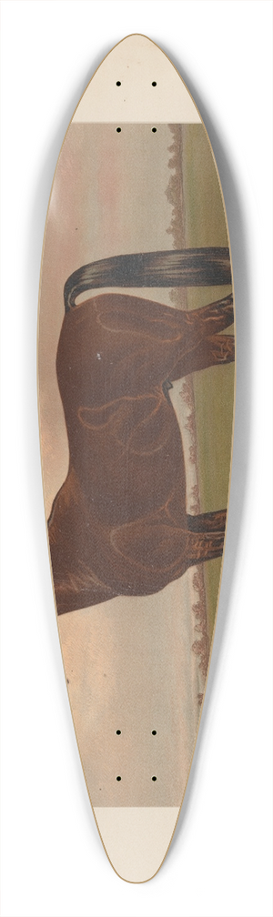 Henry Stull - Almont 39.3 inch art pintail longboard deck
