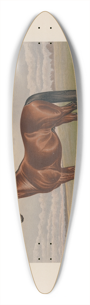 Henry Stull - Harold 39.3 inch art pintail longboard deck