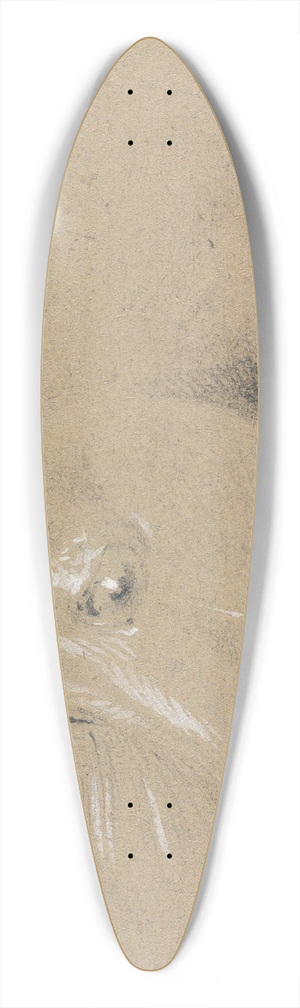 Henry Thomas Alken - Head and Neck of a Frightened Horse, Left Profile 39.3 inch art pintail longboard deck