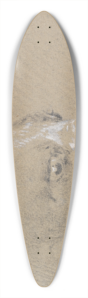 Henry Thomas Alken - Head and Shoulders of a Boxer Dog, Profile Right 39.3 inch art pintail longboard deck
