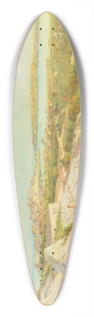 Henry Wallis - Syracuse 39.3 inch art pintail longboard deck