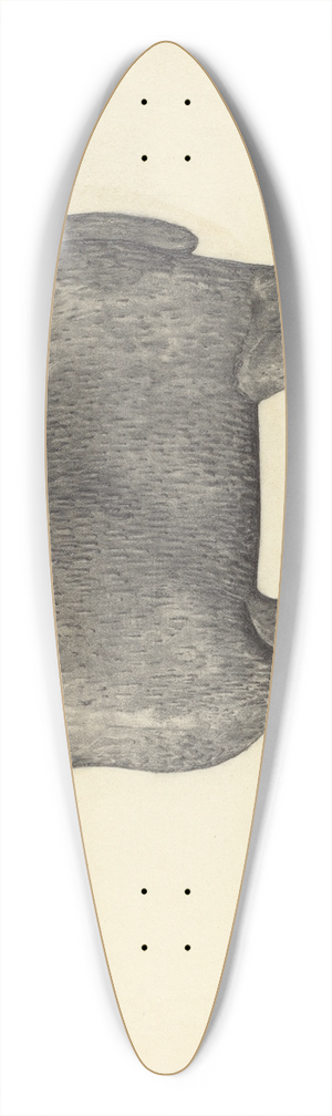 Herman Bader - Weather Vane 39.3 inch art pintail longboard deck