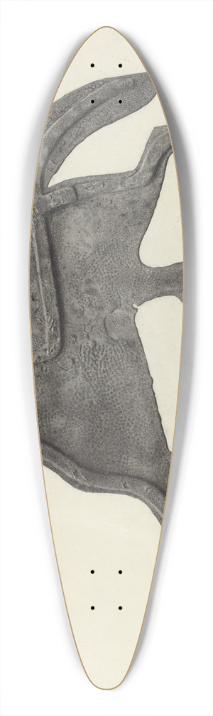Herman Bader - Weather Vane  Horse 39.3 inch art pintail longboard deck