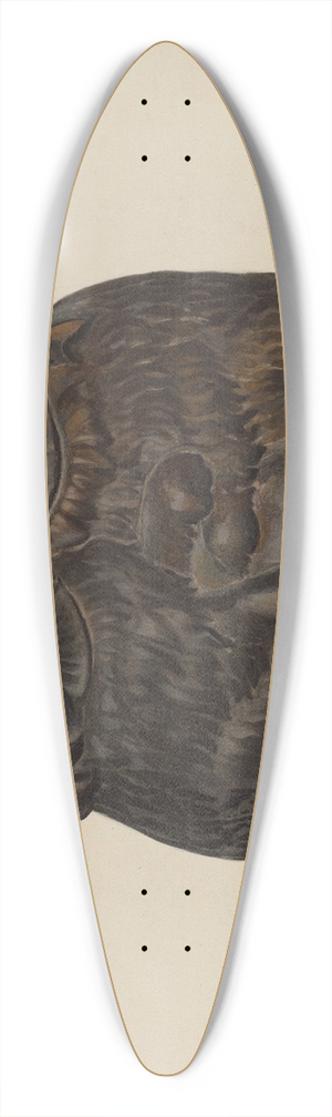H. Langden Brown - Door Stop 39.3 inch art pintail longboard deck