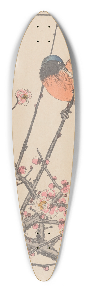Imao Keinen - Keinen kach gafu Pl.047 39.3 inch art pintail longboard deck