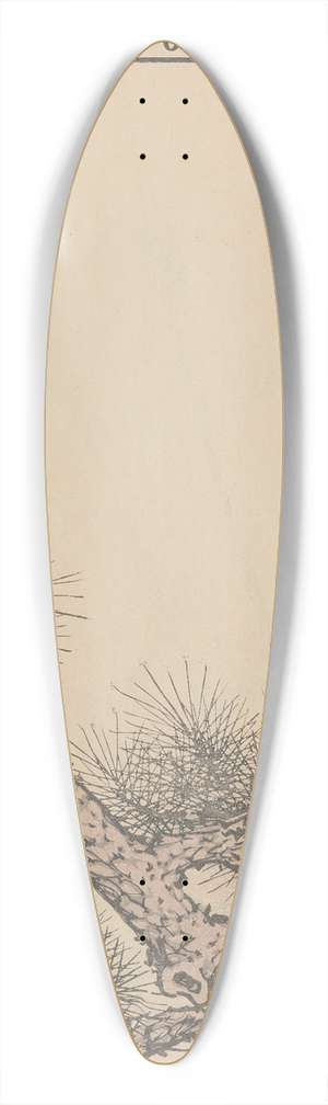 Imao Keinen - Keinen kach gafu Pl.048 39.3 inch art pintail longboard deck