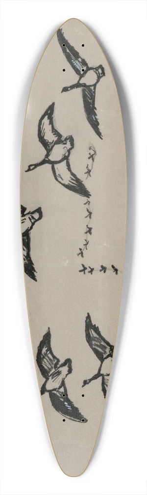 Ivan Ivanec - Klucz leccych ptakw 39.3 inch art pintail longboard deck