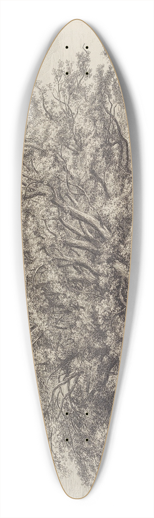 Jacob George Strutt - The Beech Tree at Knole 39.3 inch art pintail longboard deck