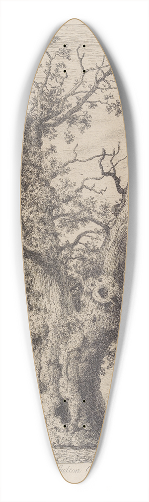 Jacob George Strutt - The Shelton Oak 39.3 inch art pintail longboard deck