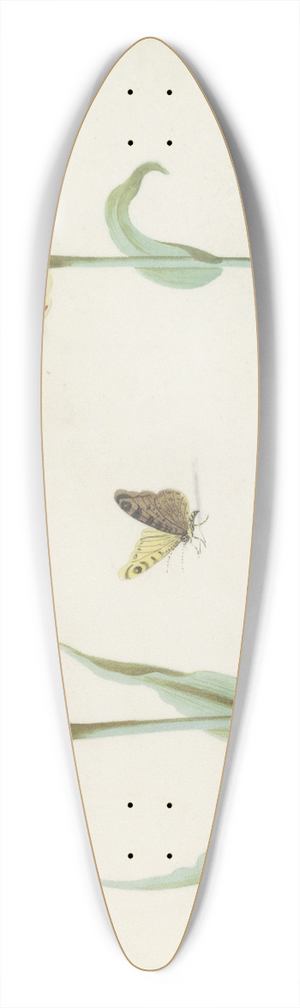 Jacob Marrel - Twee tulpen met vlinder 39.3 inch art pintail longboard deck