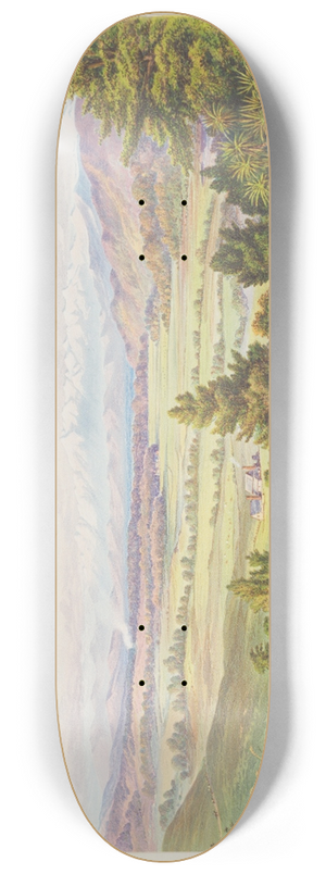 Charles Decimus Barraud - New Zealand Graphic and Descriptive. Rangitikei. 8.25 inch art skate deck