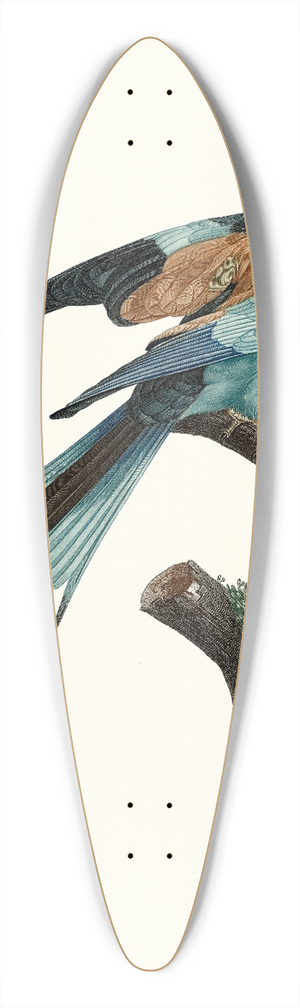 Jacques Barraband - Le Rollier  long brins dAfrique, mle. 39.3 inch art pintail longboard deck