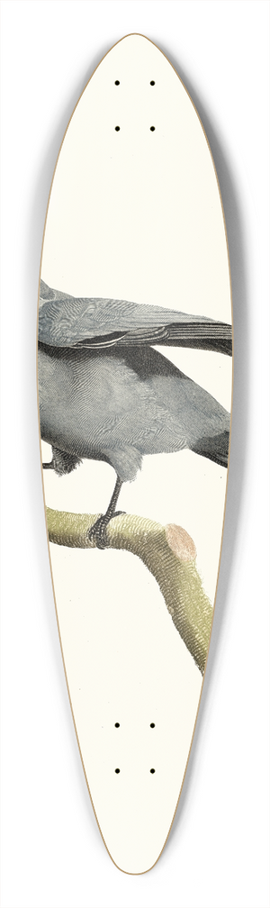 Jacques Barraband - Le Rollier  masque noir. 39.3 inch art pintail longboard deck