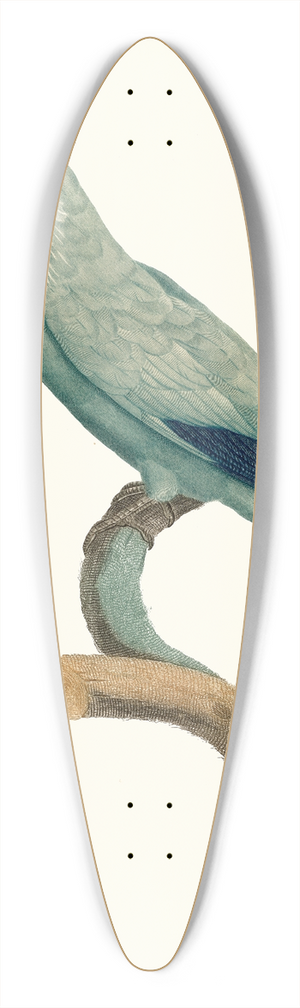 Jacques Barraband - Le Rollier verd. 39.3 inch art pintail longboard deck