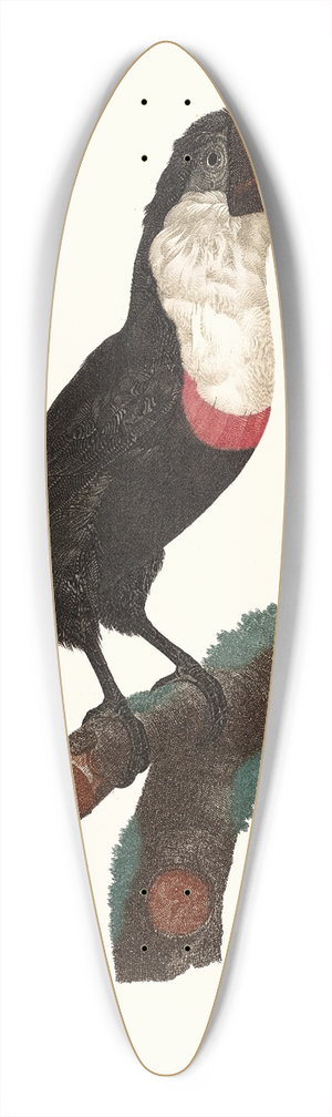 Jacques Barraband - Le Tocards. 39.3 inch art pintail longboard deck