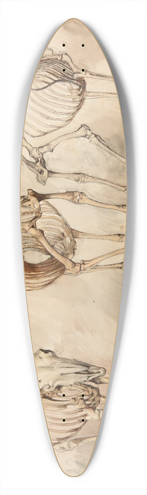 Jacques-Raymond Brascassat - Trois tudes de squelettes de moutons 39.3 inch art pintail longboard deck