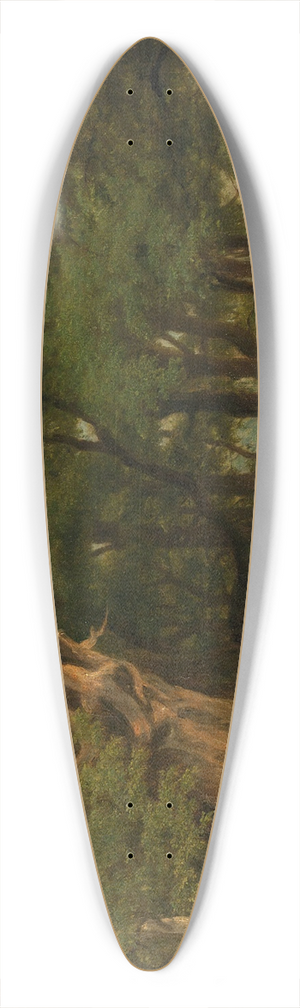 Jakob Alt - Praterlandschaft 39.3 inch art pintail longboard deck