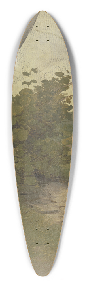 Jakob Becker - Meadow with small wall 39.3 inch art pintail longboard deck