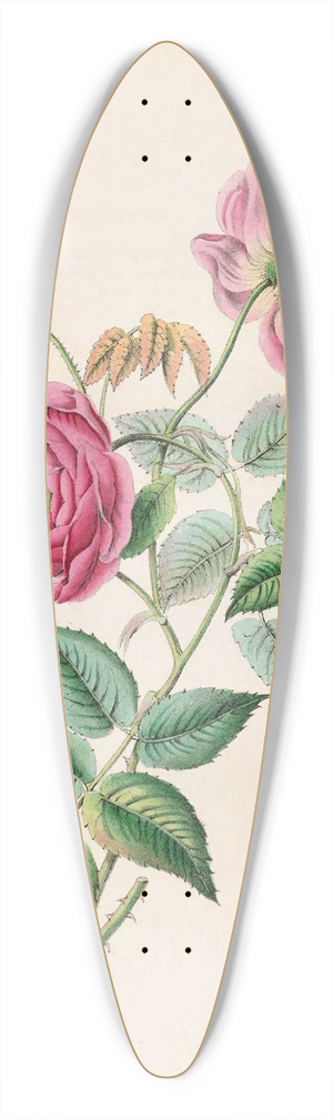 James Ackerman - The Rose 39.3 inch art pintail longboard deck