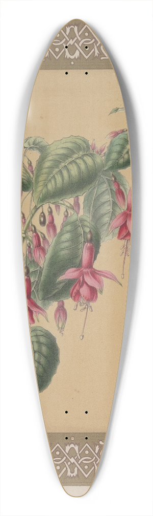James Andrews - The Fuchsia 39.3 inch art pintail longboard deck