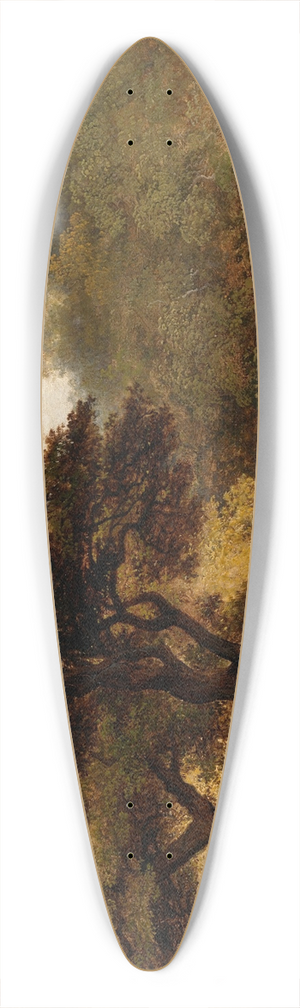 James Arthur O'Connor - A View of the Glen of the Dargle 39.3 inch art pintail longboard deck