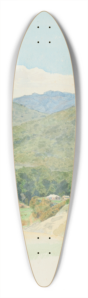 James Crowe Richmond - Junction of Slate and Aorere Rivers, Collingwood Goldfields 39.3 inch art pintail longboard deck